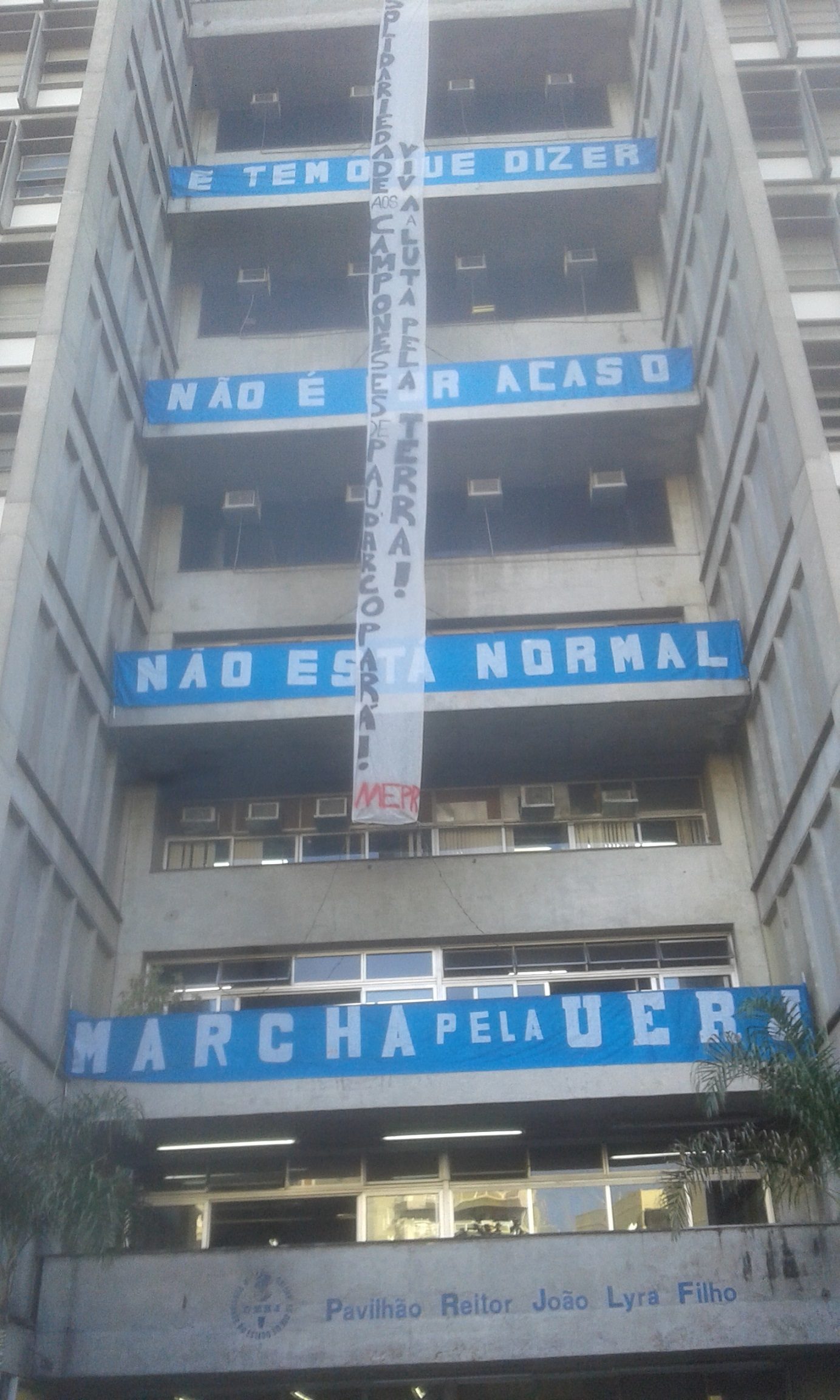 Pau D Arco Banner FERP