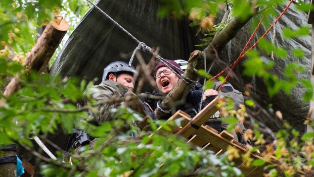 Hambacher Forst II