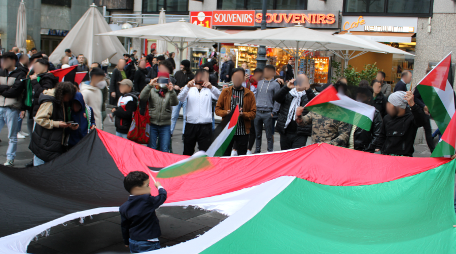 Die Proteste in Palästina sind in Österreich angekommen 3