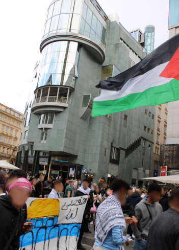 Die Proteste in Palästina sind in Österreich angekommen 5