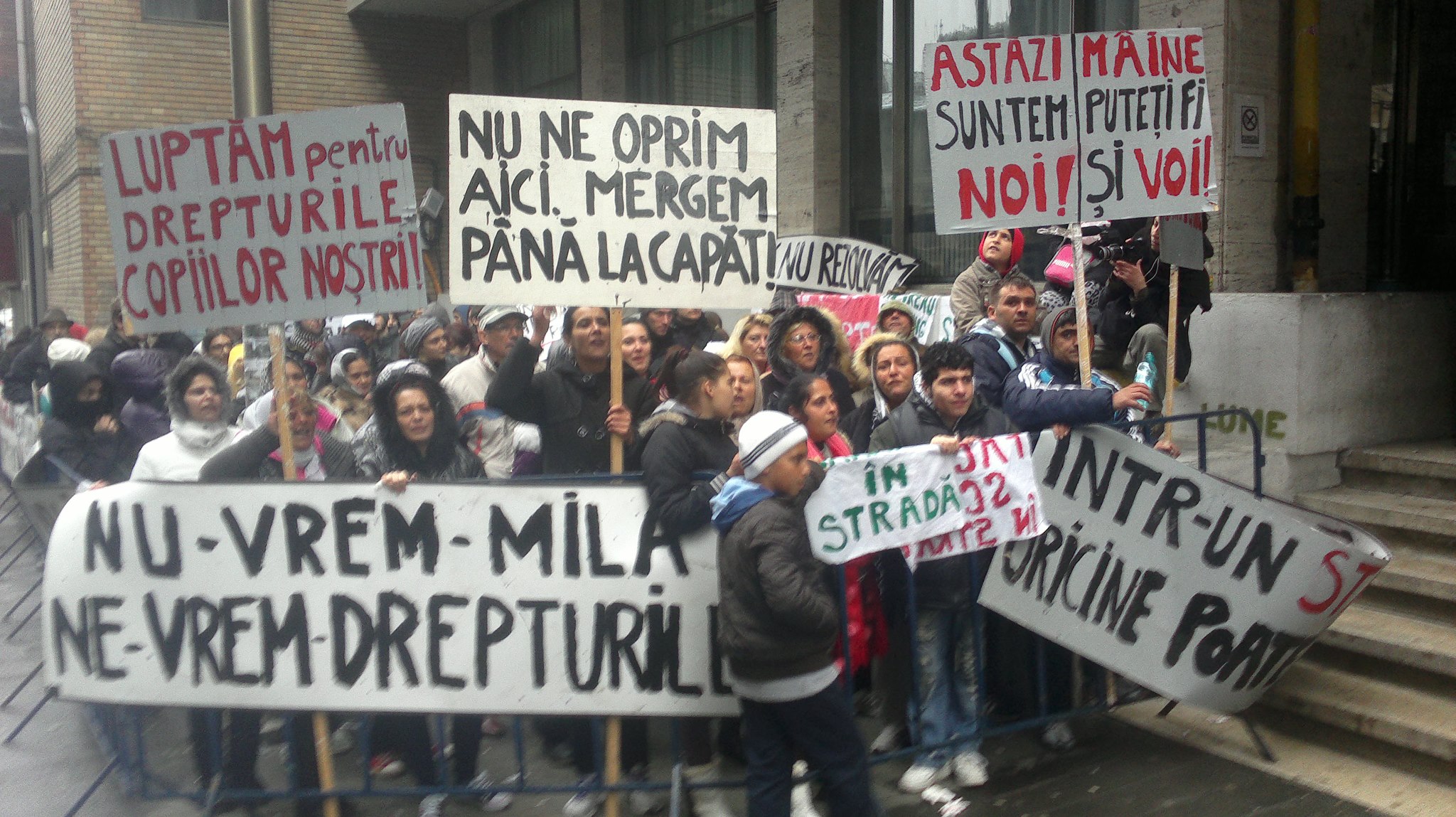 Österreichischer Holzkonzern Schweighofer lässt den Urwald Rumäniens illegal abholzen