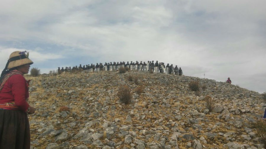 Bullen morden in den Anden