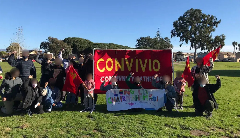 Current actions of the revolutionaries in the USA