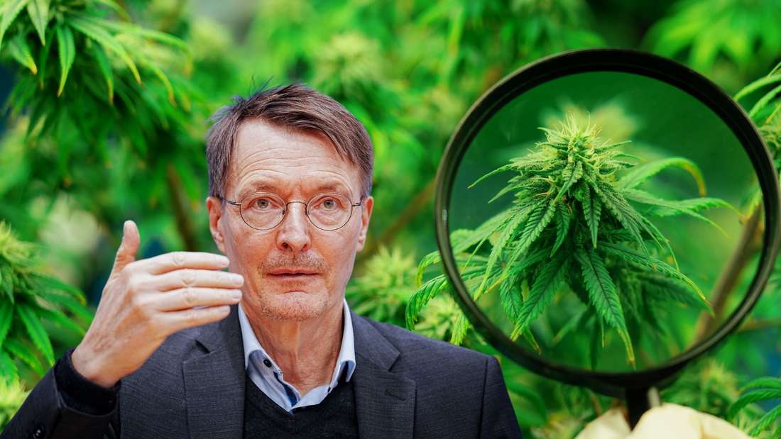 Die Regierung plant die Teillegalisierung von Cannabis