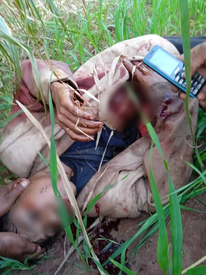 Brazil: ” Urgent: Shock Troop slaughters Guarani Kaiowá youth in Amambai, MS”