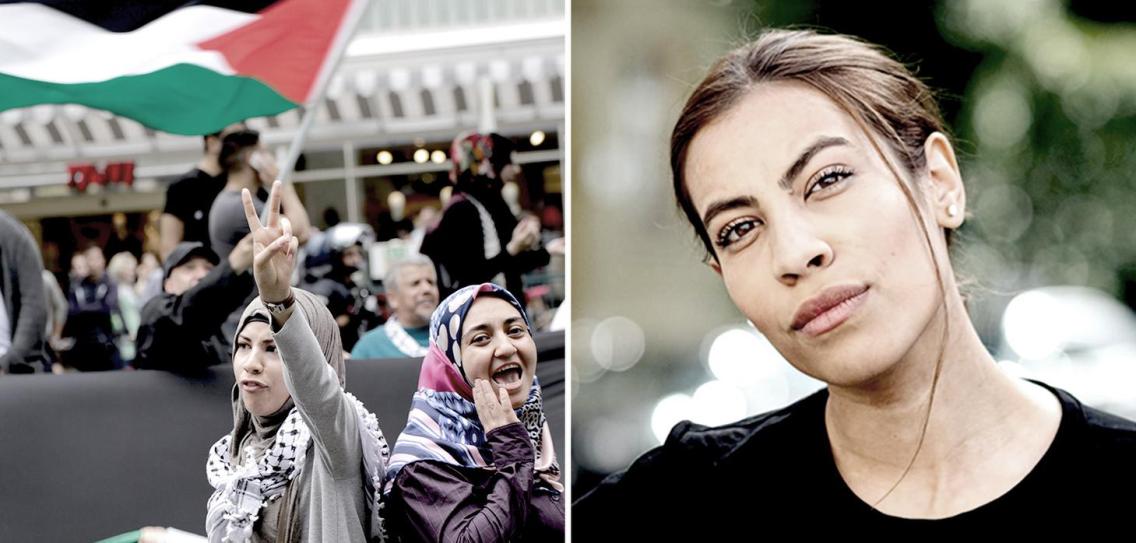 Civic Sentiment Test Palestine Solidarity