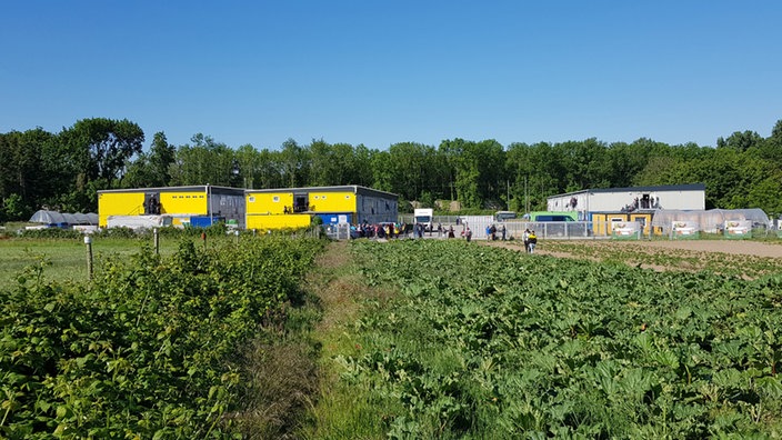 Saisonarbeiter rebellieren gegen Ausbeutung