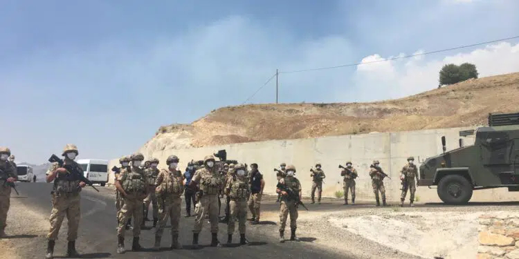 Turkey: Reaction causes forest fires again