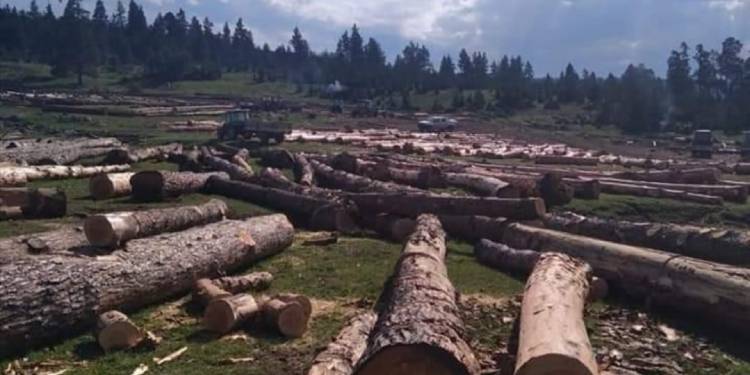 Nachrichten aus der Türkei 14. – 20. Oktober