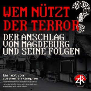 Zusammen Kämpfen Magdeburg: Wem nützt der Terror?
