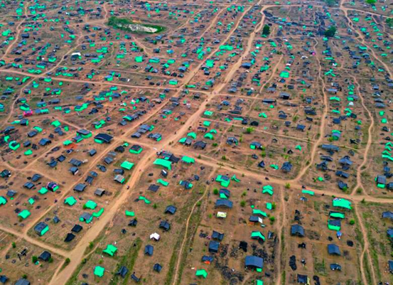 Kolumbien: Der Kampf um Land in Caucasia und der Kampf zwischen den herrschenden Klassen