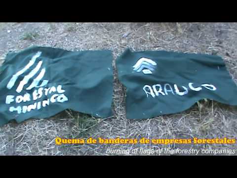 Video über die Volksunterstützungsbrigaden 2018