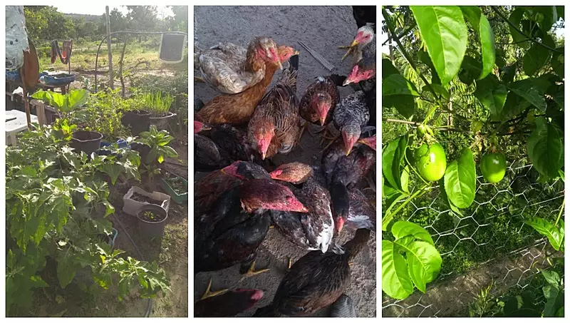 Bauern widersetzen sich der Vertreibung in der Volkssiedlung Chê