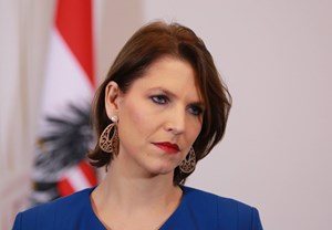 „In u00d6sterreich gibt es keine patriarchalen Strukturen, das ist alles importiert.“