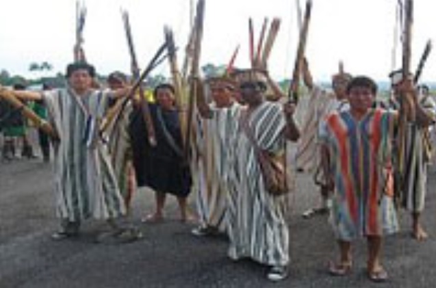 On the Jungle or Amazon: Addressing the National Problem for the Whole Country Not Just the Forests