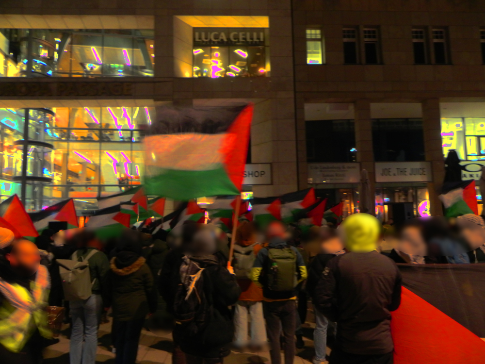 Hamburg: Kundgebung für ein freies Palästina und Solidarität mit den LLL-Gefangenen