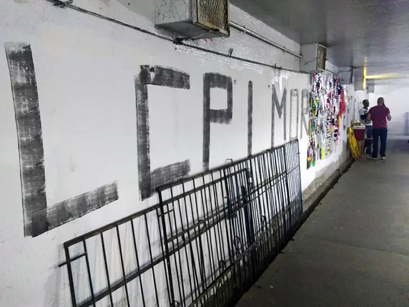 New Paintings in Brazil