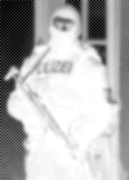 Der Marsch ins vierte Reich?