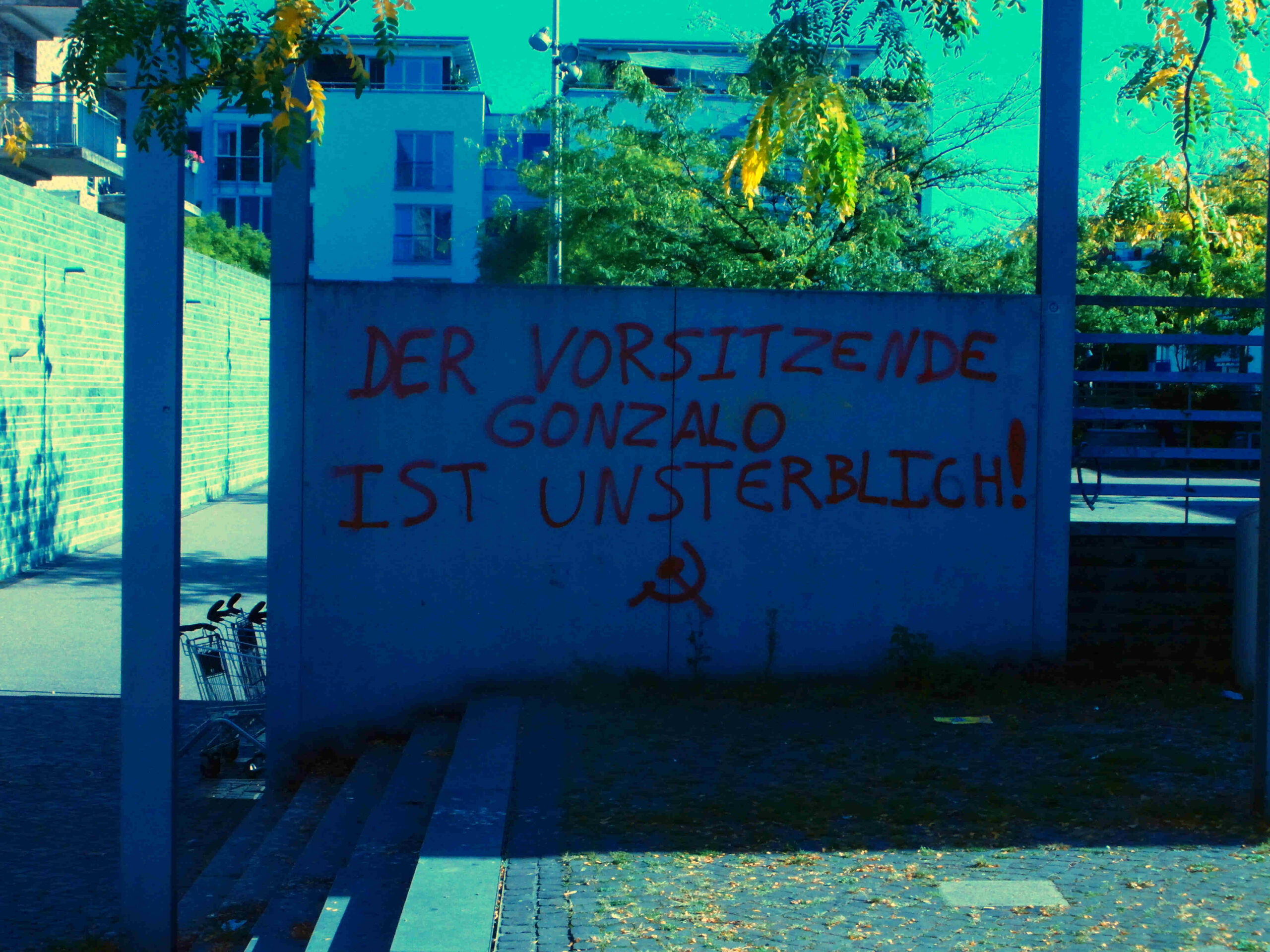 Freiburg: Graffiti in honor of Chairman Gonzalo