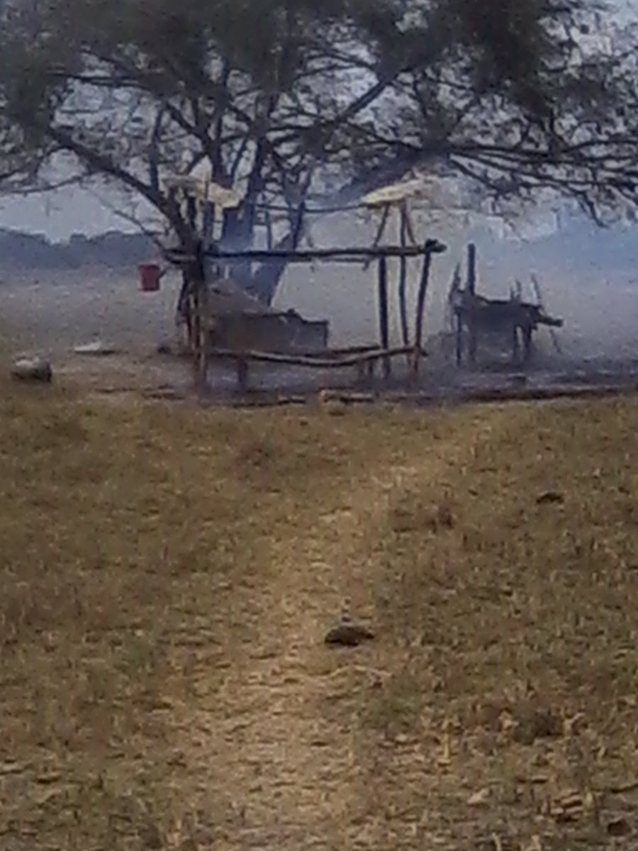 Venezuela Polizei verbrennt Hütte